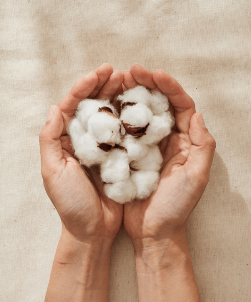 Cotton